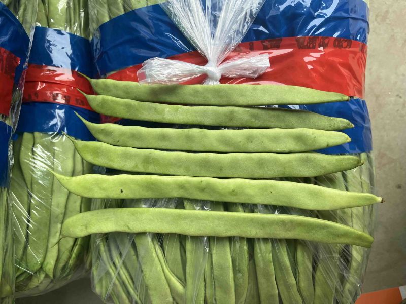 青扁豆，芸豆，大扁，大量上市中，供应批发超市零售