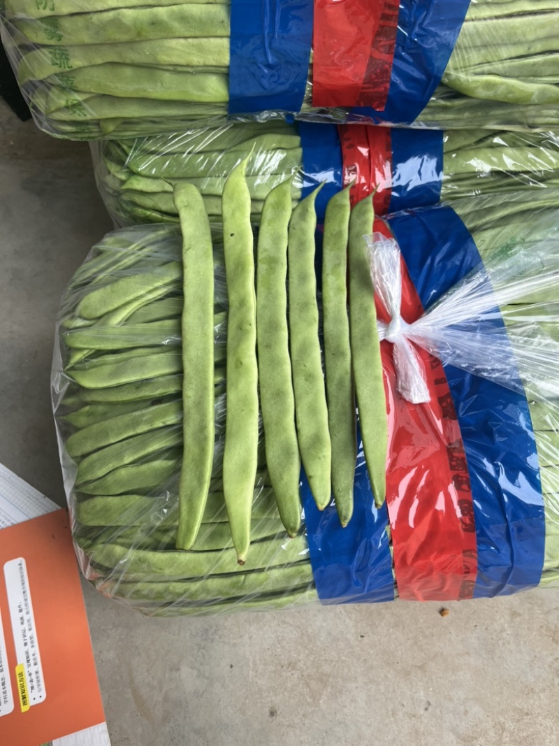 青扁豆，芸豆，大扁，大量上市中，供应批发超市零售