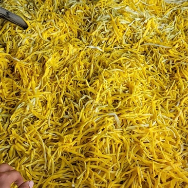 清水黄花菜原料供应6300一吨袋装菜50斤