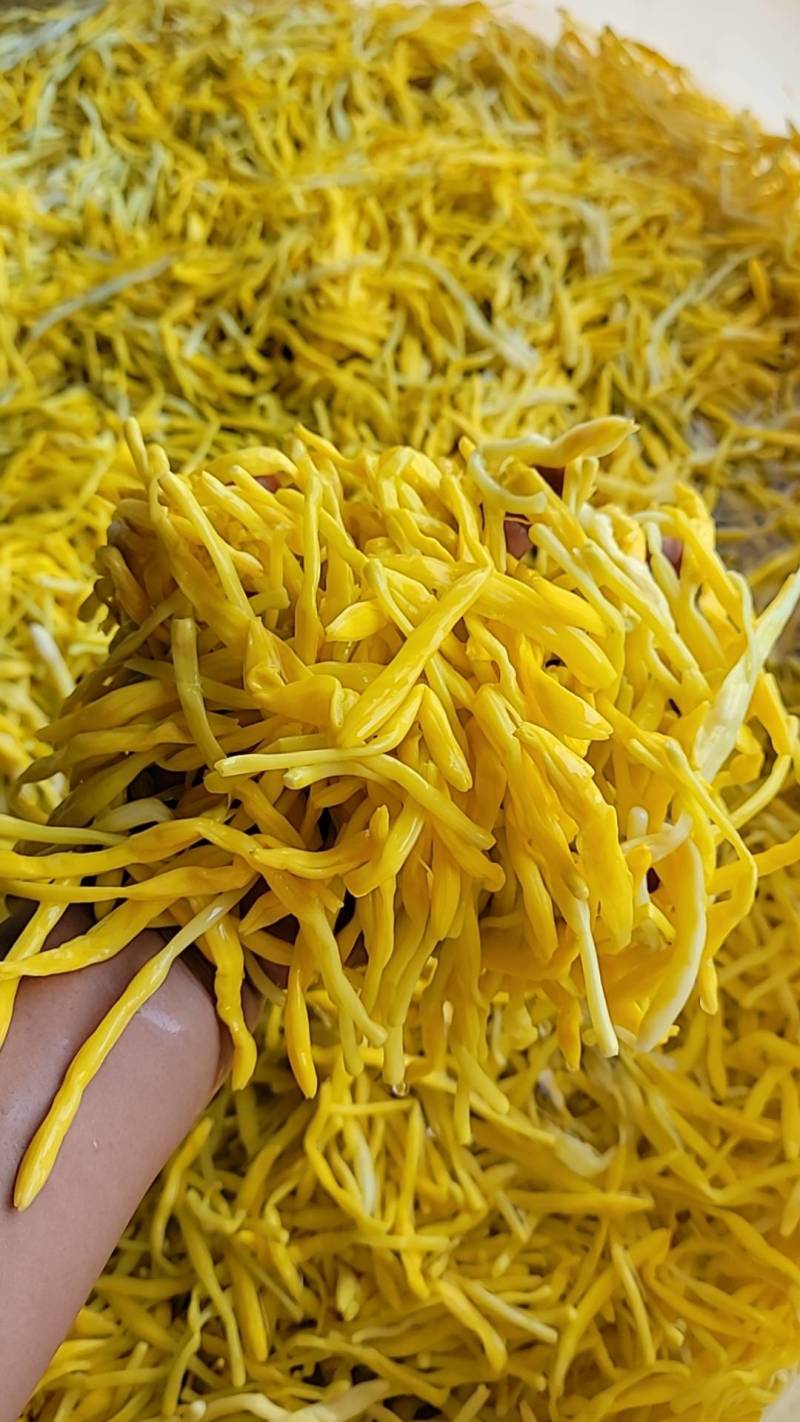 清水黄花菜原料供应6300一吨袋装菜50斤