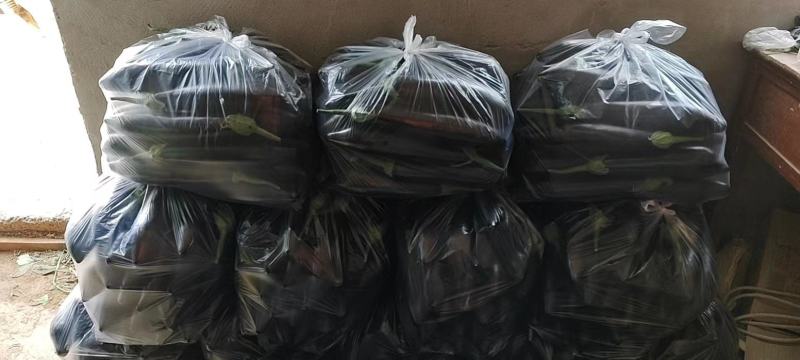 基地烧烤黑长茄大量现货，超市电商平台加工厂**