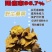 各种高山原生态