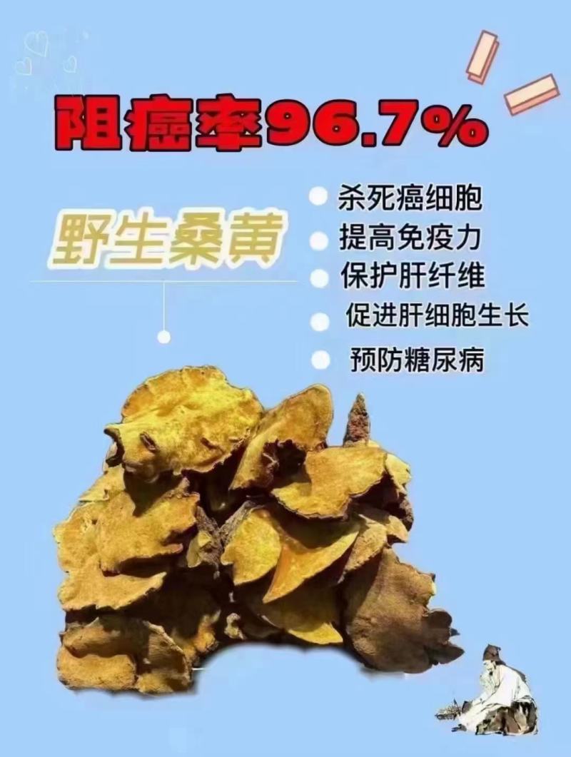 各种高山原生态