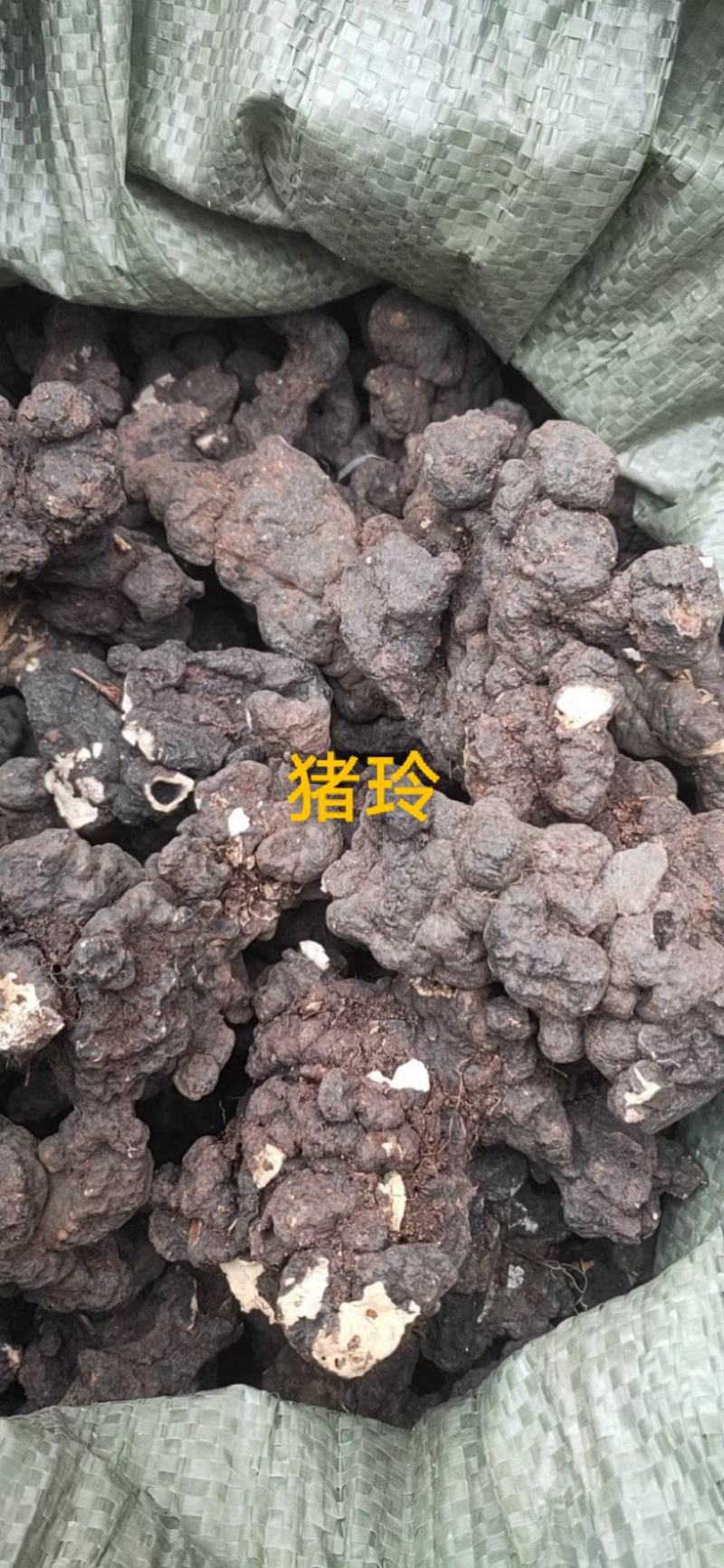 各种高山原生态