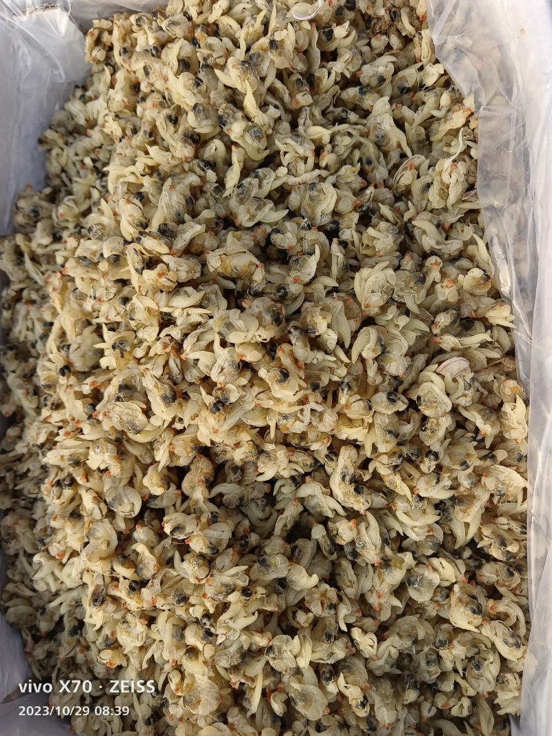 蚬子干。做汤精品，活加工，直接凉晒，保持原味原桨