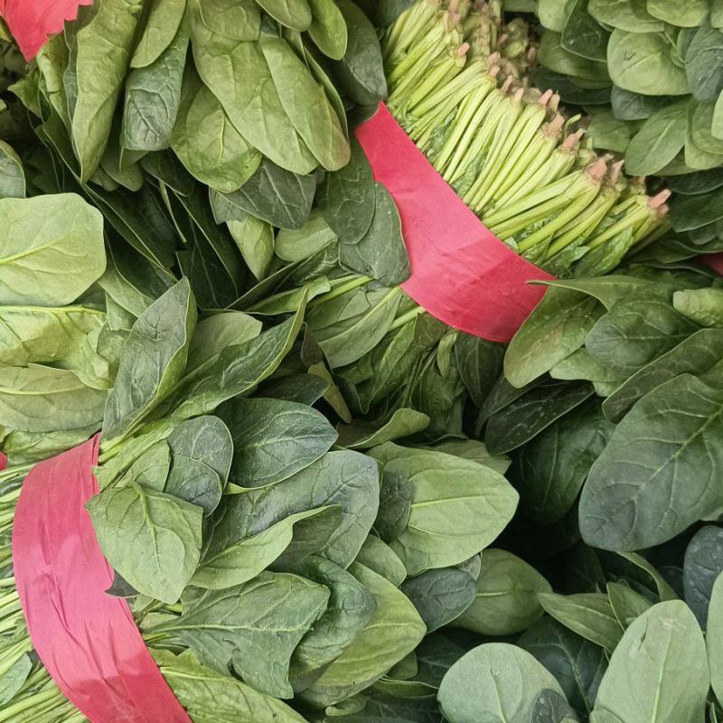 菠菜，聊城菠菜，大量供应中，供应电商，商超，以及各大市场