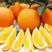【脐橙】纽荷尔脐橙大量供应个头均匀果面干净现摘现发诚信经营