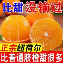 正宗纽荷尔脐橙大量上市，果园供货，不打蜡不催熟，量大从优