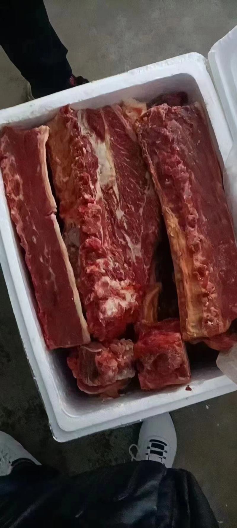 驴脊骨