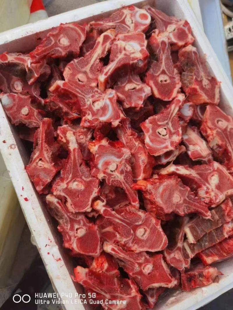 驴脊骨