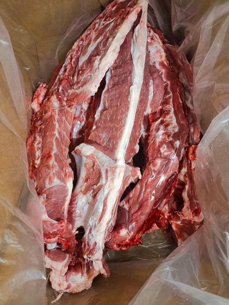 满肉羊蝎子厂家直发价格优惠品质好欢迎合作