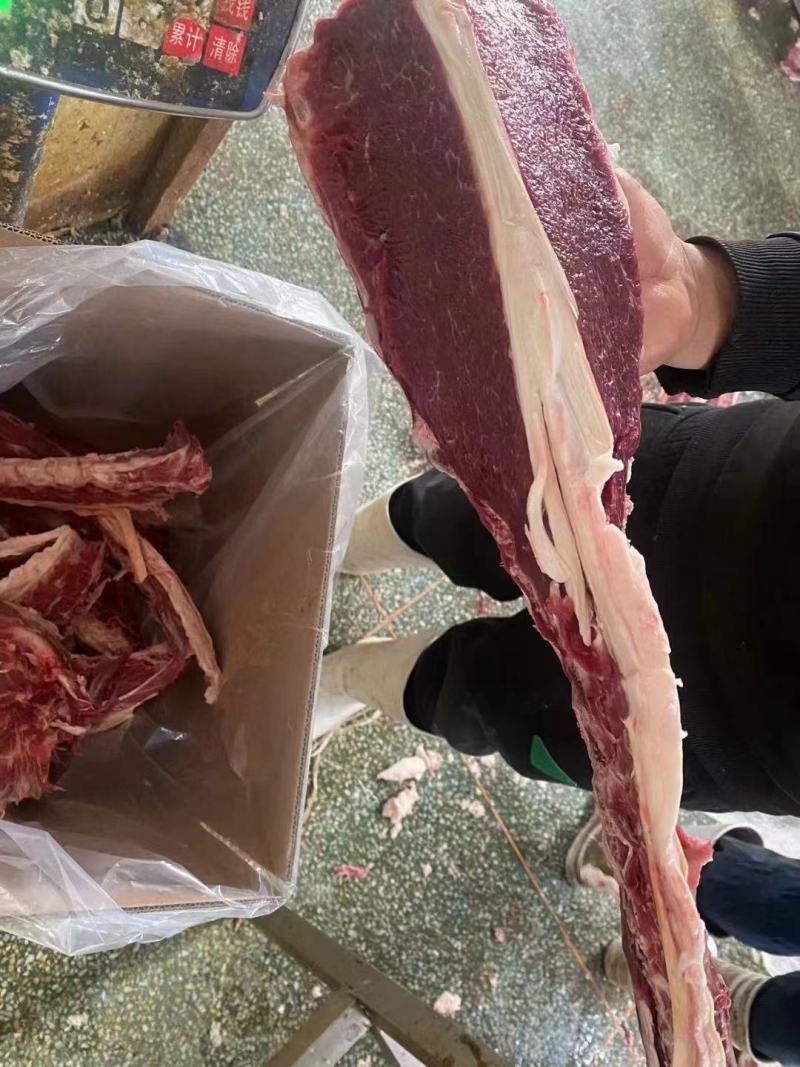 满肉羊蝎子厂家直发价格优惠品质好欢迎合作