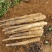 广西淮山药白玉山药基地直发规格齐全量大从优欢迎选购