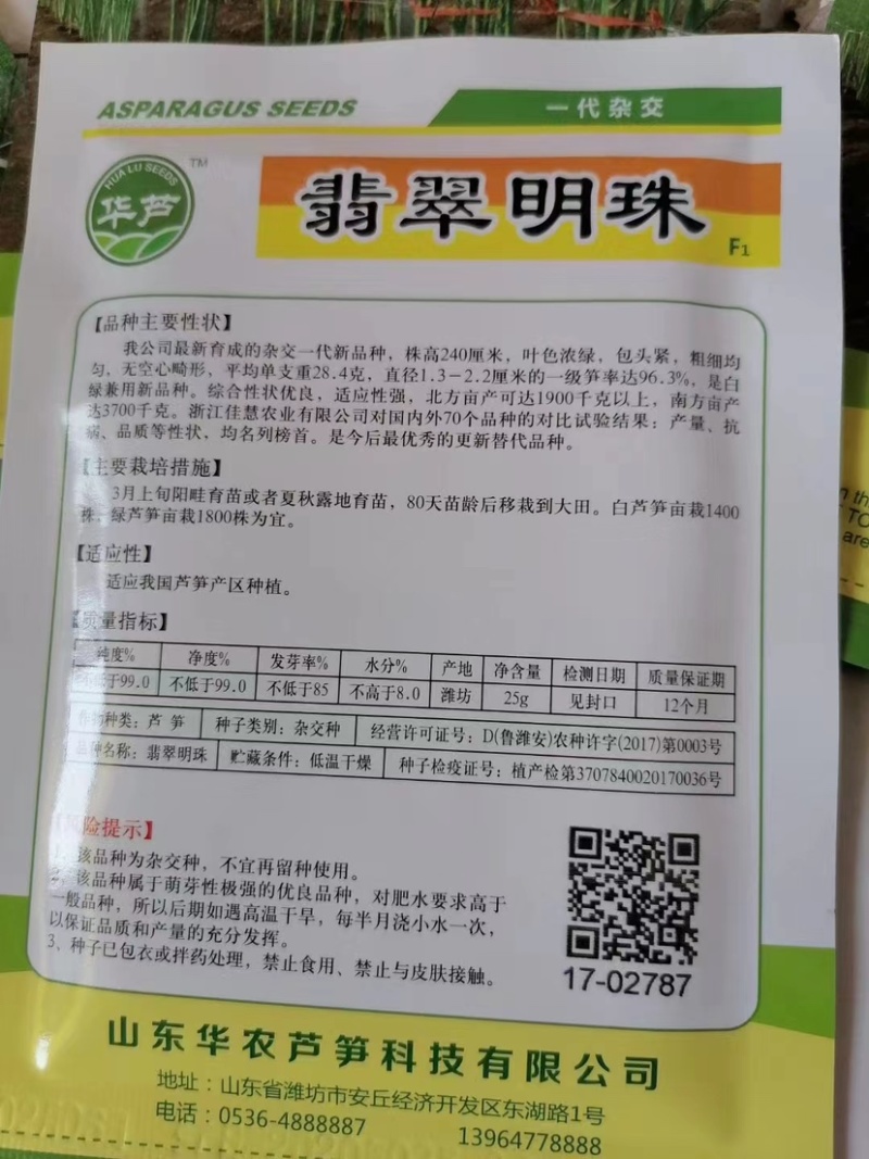 当季新芦笋种子翡翠明珠大田育苗，厂家直发有保障