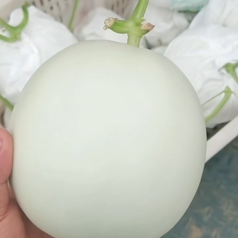 玉菇-冰清玉菇