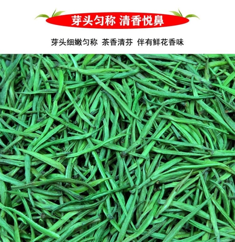 贵州湄潭雀舌明前头春茶（颗颗精选单芽）免费试喝足斤足两