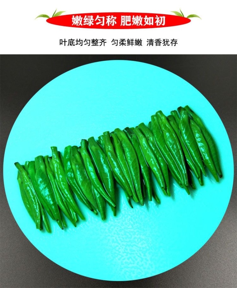 贵州湄潭雀舌明前头春茶（颗颗精选单芽）免费试喝足斤足两