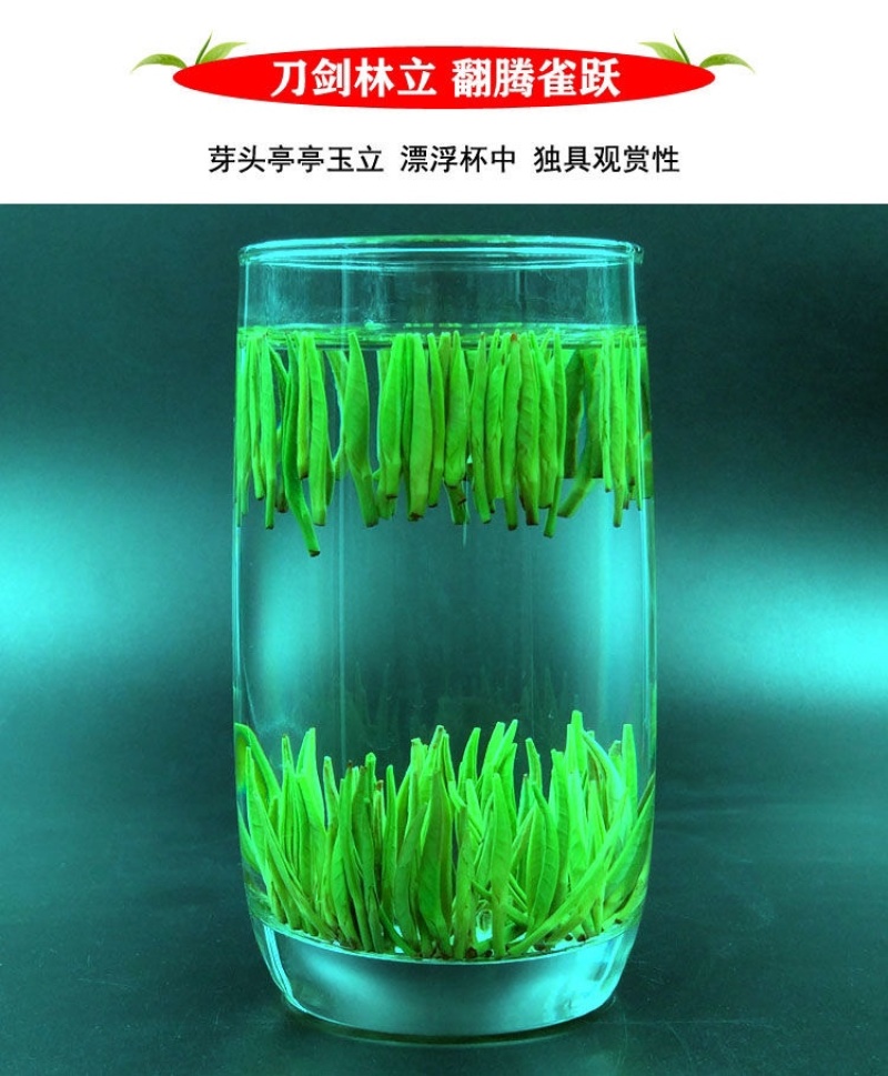 贵州湄潭雀舌明前头春茶（颗颗精选单芽）免费试喝足斤足两