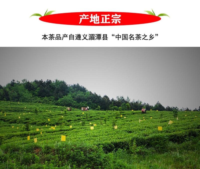 湄潭翠芽贵州绿茶（明前头采单芽）特级新茶产地直发批发价