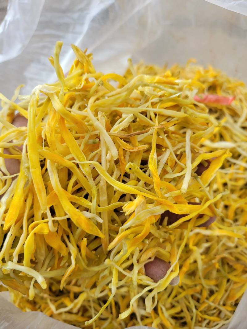 保鲜菜黄条菜清水菜祁东特产摆地摊烧烤麻辣烫串串螺蛳粉专用