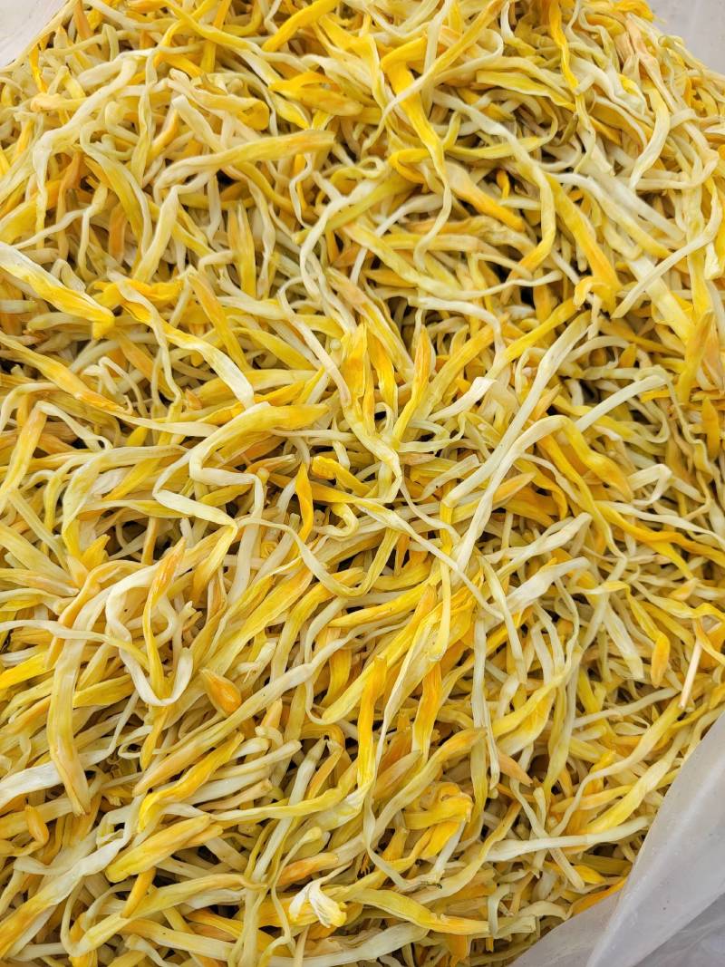 保鲜菜黄条菜清水菜祁东特产摆地摊烧烤麻辣烫串串螺蛳粉专用