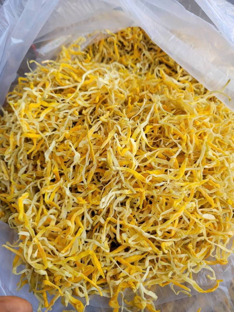 保鲜菜黄条菜清水菜祁东特产摆地摊烧烤麻辣烫串串螺蛳粉专用