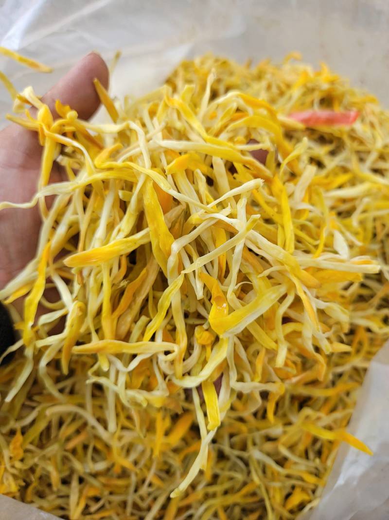 保鲜菜黄条菜清水菜祁东特产摆地摊烧烤麻辣烫串串螺蛳粉专用