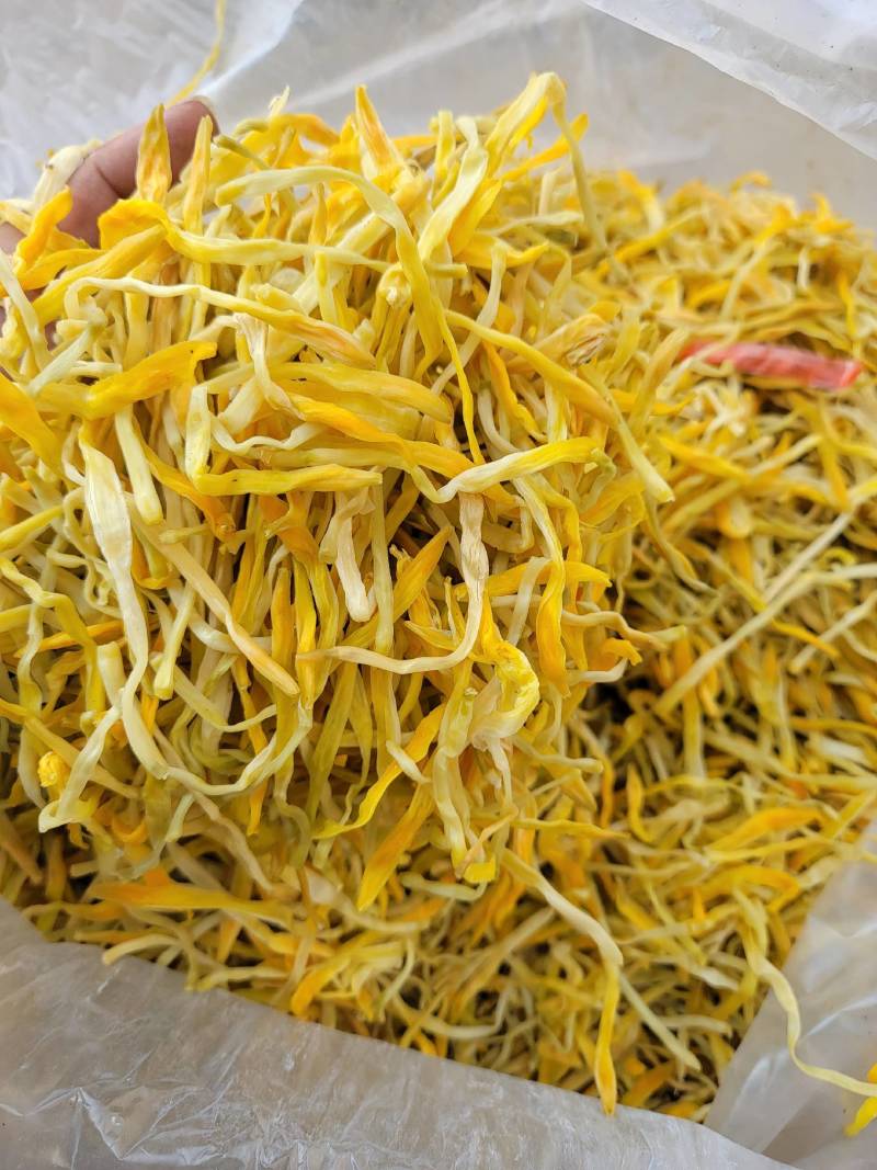保鲜菜黄条菜清水菜祁东特产摆地摊烧烤麻辣烫串串螺蛳粉专用