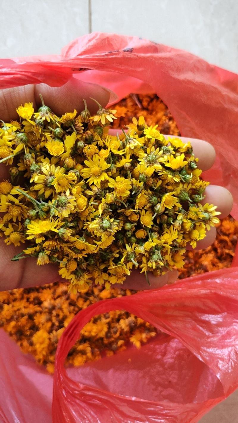 野菊花成品干货。无杂无杆野菊花颗粒全干数量有限。
