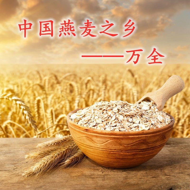 【代粮餐】燕麦片源头工厂日期新鲜现货现发欢迎咨询
