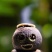 小青柑普洱茶特级十年陈熟茶生晒新会陈皮柑普茶玻璃罐装茶叶