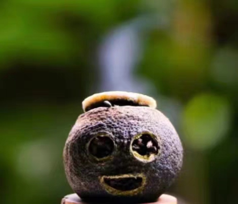 小青柑普洱茶特级十年陈熟茶生晒新会陈皮柑普茶玻璃罐装茶叶