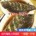 新鲜龙利鱼片鱼柳整只巴沙鱼海鲜水产无刺宝宝辅食龙利鱼