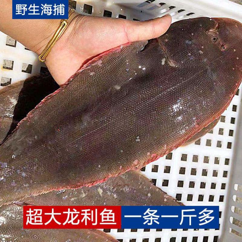 新鲜龙利鱼片鱼柳整只巴沙鱼海鲜水产无刺宝宝辅食龙利鱼