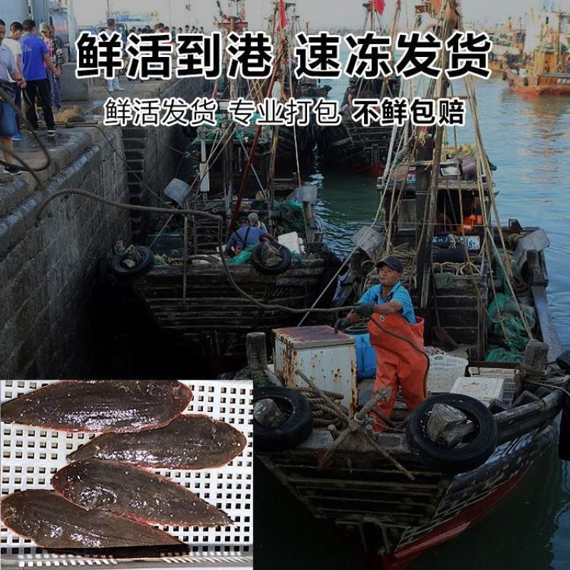 新鲜龙利鱼片鱼柳整只巴沙鱼海鲜水产无刺宝宝辅食龙利鱼