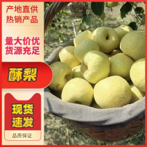 蜜梨山西运城坡地酥梨-运城蜜梨-量大从优-价格优惠