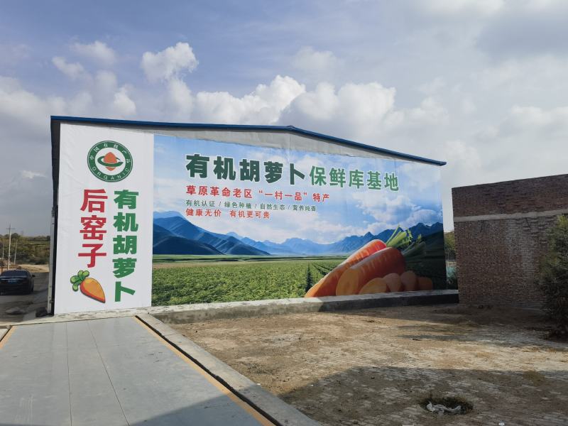 后窑子有机胡萝卜下脚料