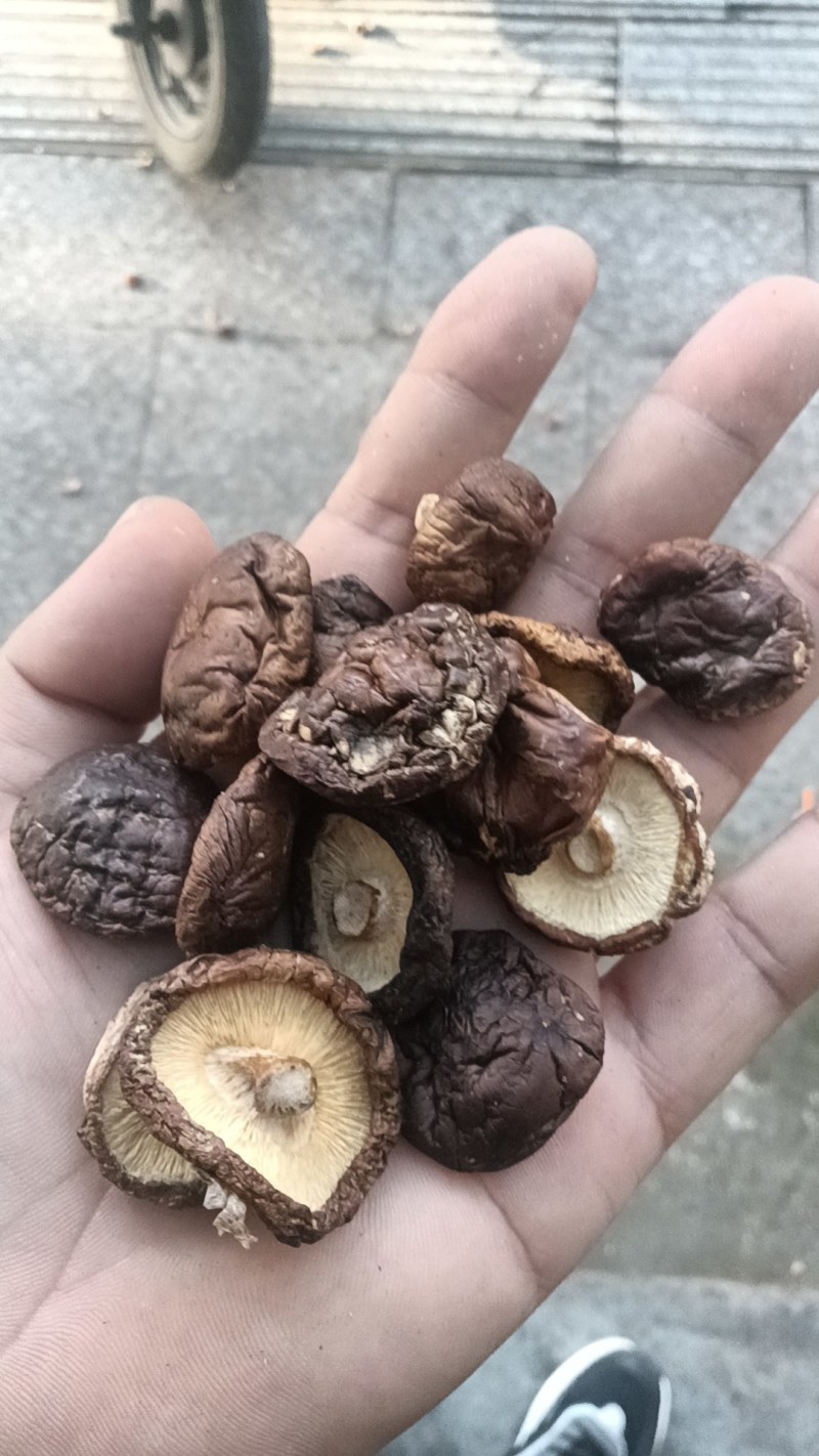 干货香菇，冬季香菇，质量好，按客户要求分级挑选，大量供应