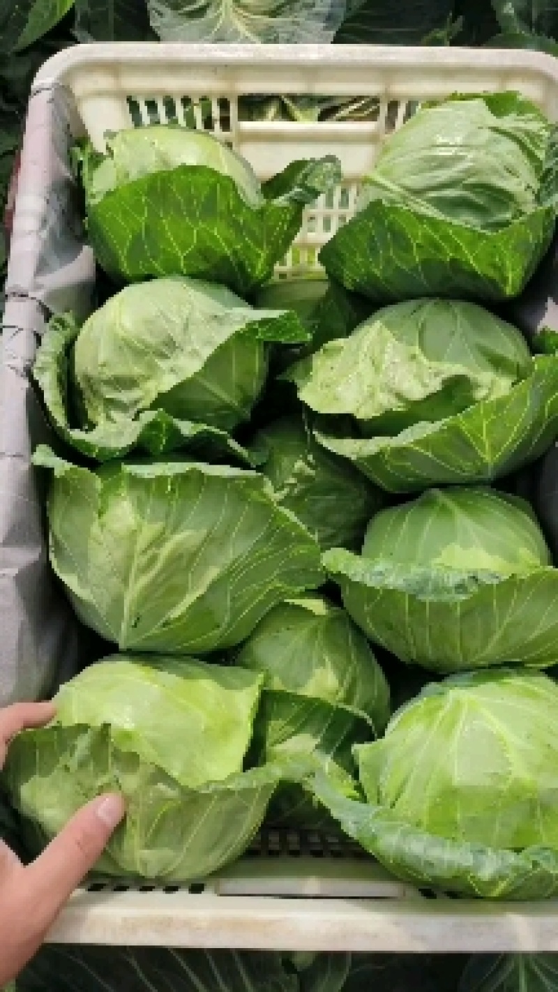 大家好！我是销