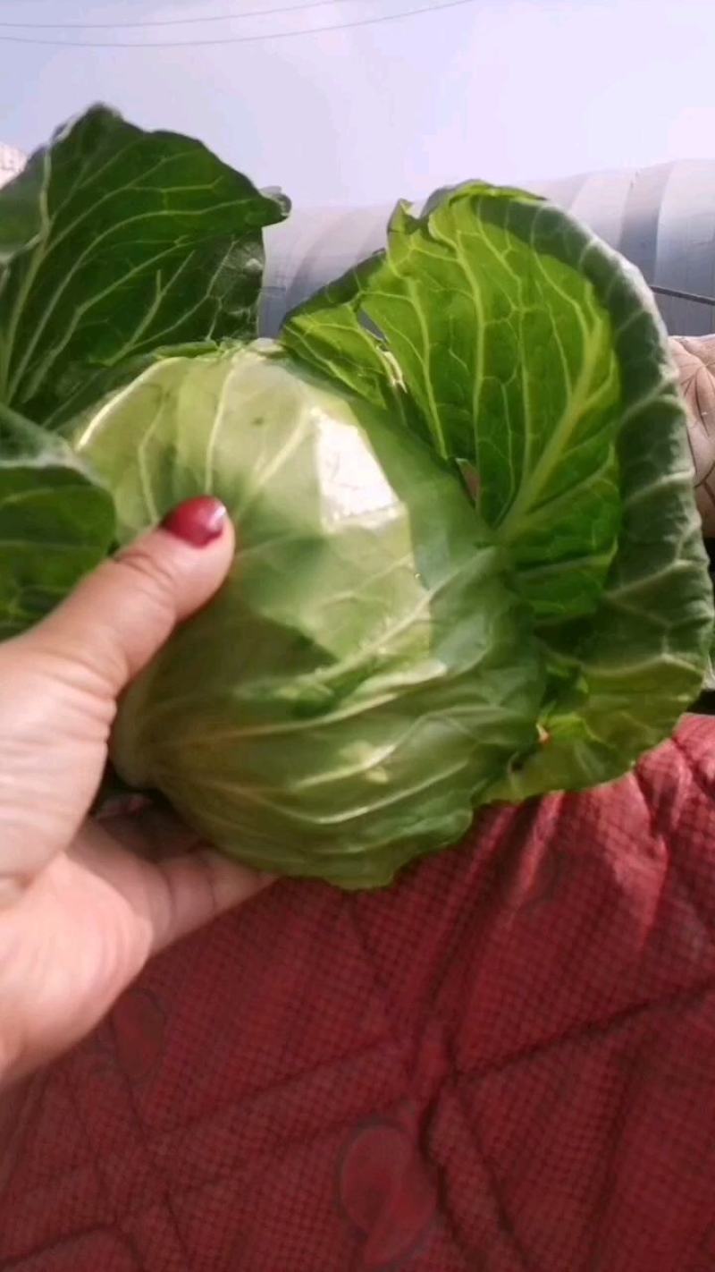 大家好！我是销