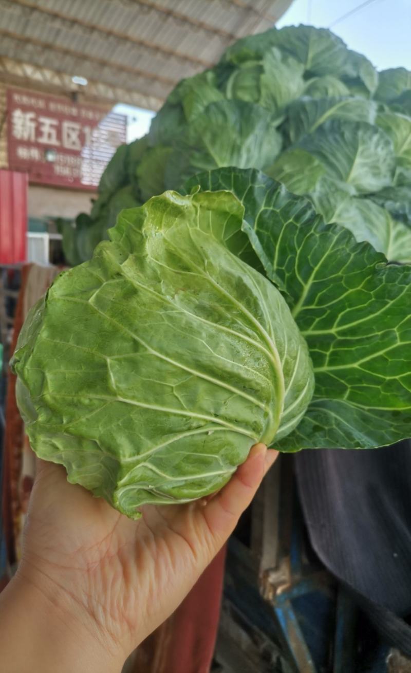 大家好！我是销