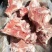 肥猪扇子骨，新货带肉率50，扇子骨肉多