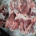 肥猪扇子骨，新货带肉率50，扇子骨肉多