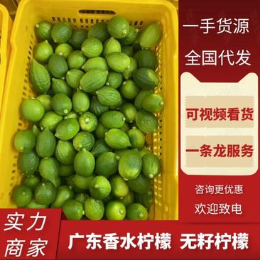 广东柠檬香水柠檬一手货源产地直发货源充足欢迎订购
