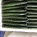 福建密刺黄瓜，大量上市，青肉，细条，价格便宜，欢迎下单