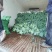 西兰花【耐寒优秀西兰花】河南西蓝花产地一手出货货源充足