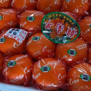柑橘湖南石门精品纽荷尔脐橙基地直销现摘现发欢迎采购