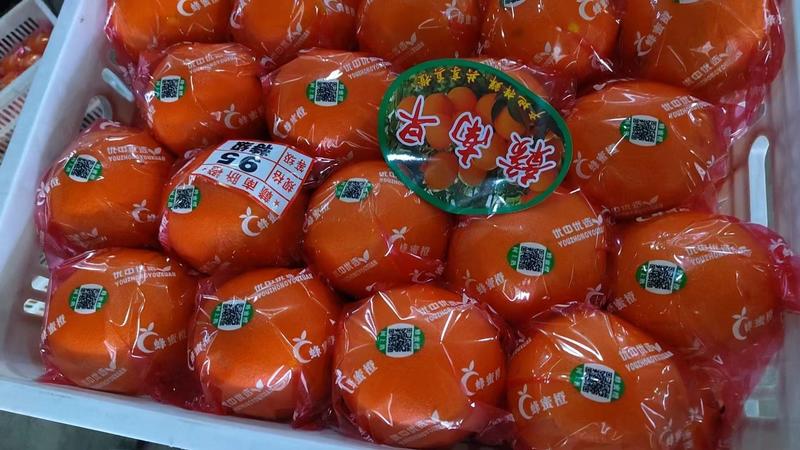 柑橘湖南石门精品纽荷尔脐橙基地直销现摘现发欢迎采购