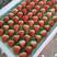 宁玉草莓香甜种植基地价格优惠可长期合作欢迎老板电话联系