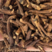 蒲公英根，蒲公英根茶，新货无硫产地直发实拍现货全国发货